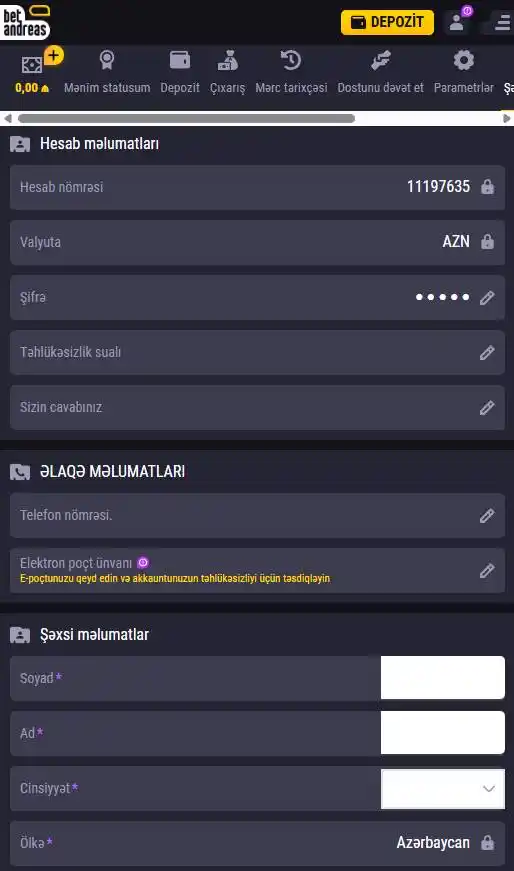 Konfiqurasiya edilə bilən təhlükəsizlik elementləri ilə mobil tətbiqdə müştəri profili